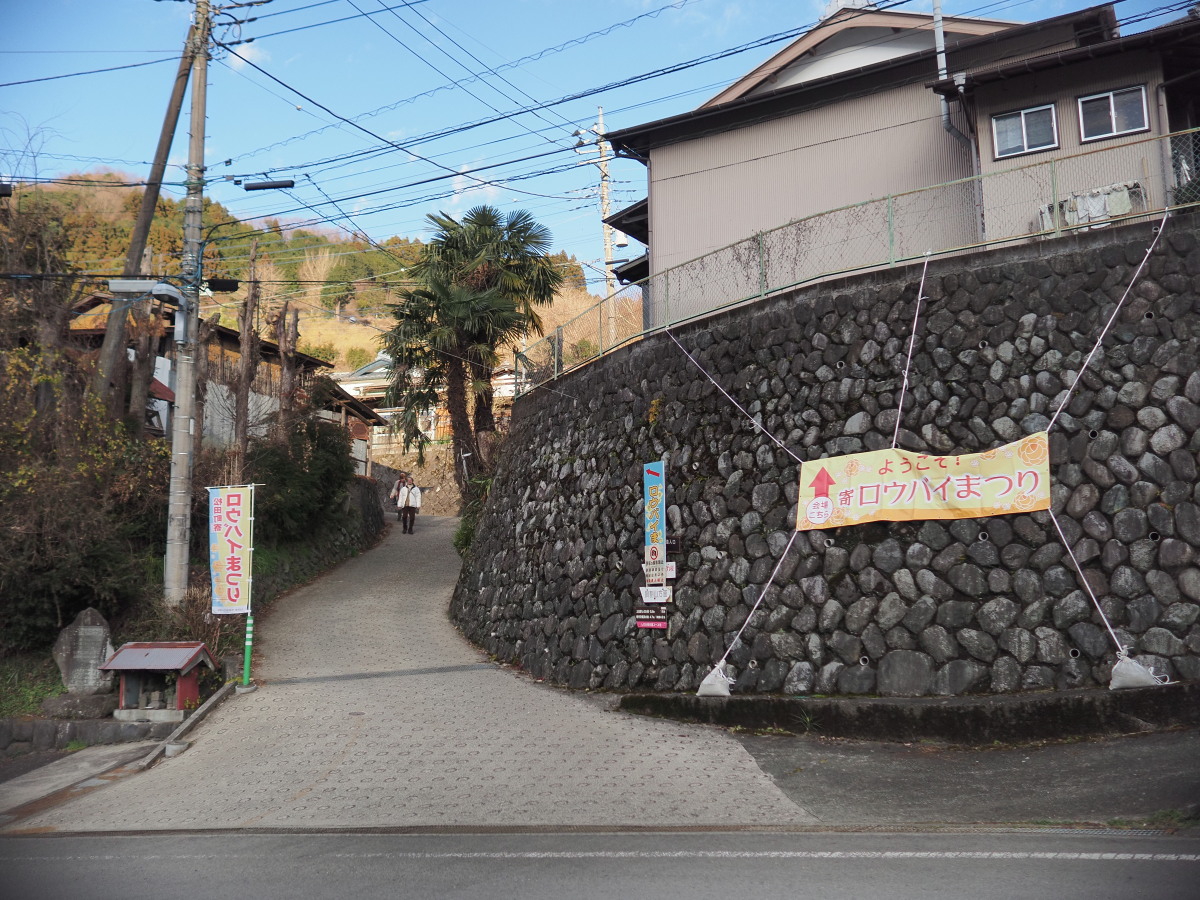 f:id:otaku4160:20200201225718j:plain f:id:otaku4160:20200201225718j:plain