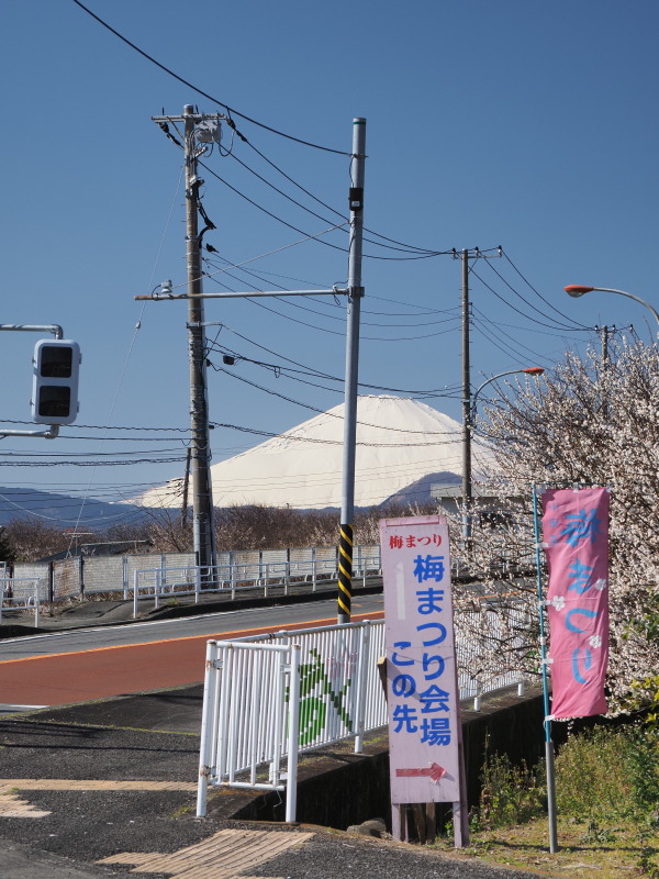 f:id:otaku4160:20200211232656j:plain f:id:otaku4160:20200211232656j:plain