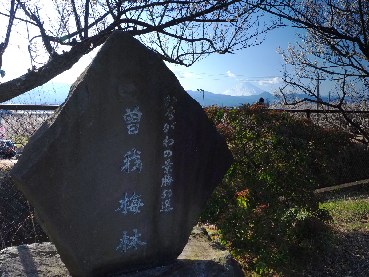 f:id:otaku4160:20200211232836j:plain f:id:otaku4160:20200211232836j:plain