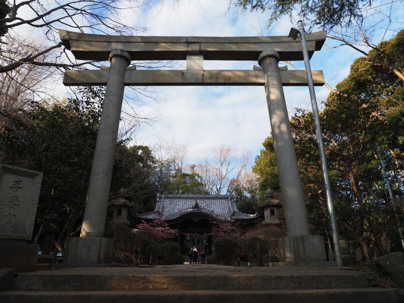 f:id:otaku4160:20200212000817j:plain f:id:otaku4160:20200212000817j:plain