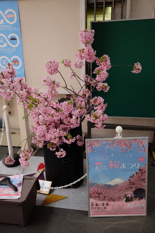 f:id:otaku4160:20200227114557j:plain f:id:otaku4160:20200227114557j:plain