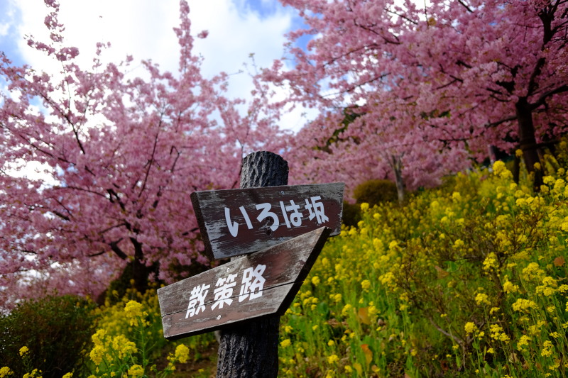 f:id:otaku4160:20200227144439j:plain f:id:otaku4160:20200227144439j:plain