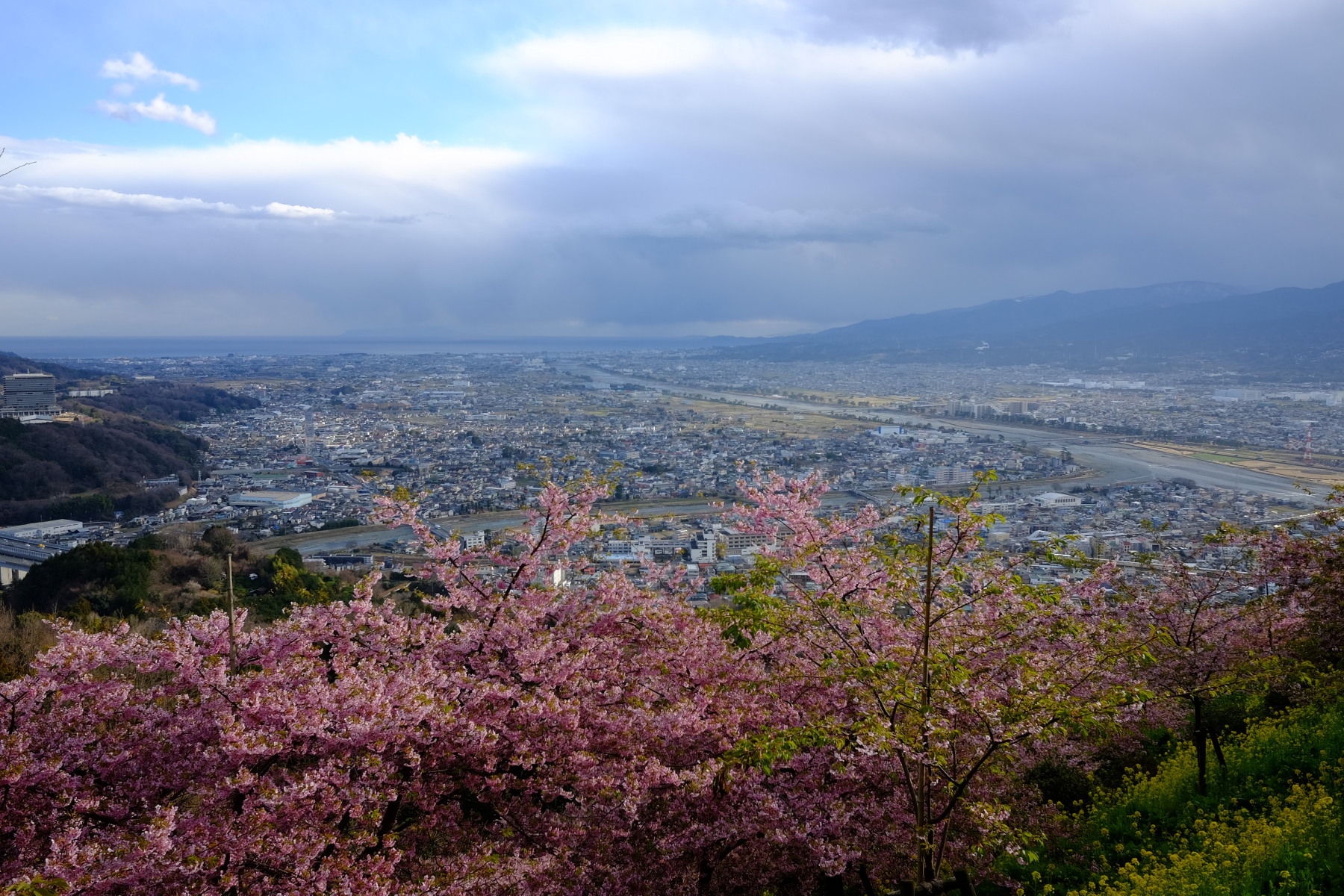 f:id:otaku4160:20200227153834j:plain f:id:otaku4160:20200227153834j:plain