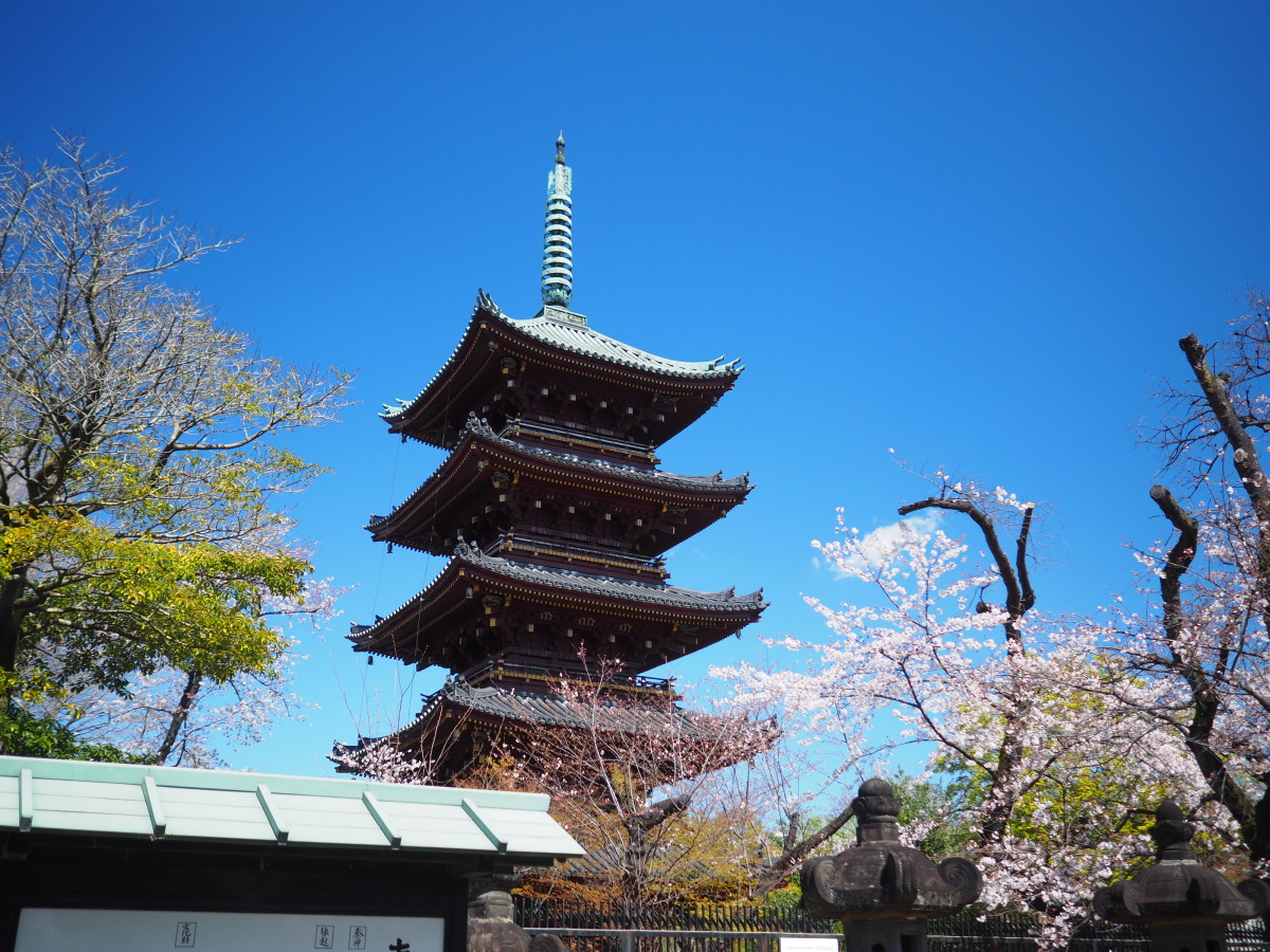 f:id:otaku4160:20200324205530j:plain f:id:otaku4160:20200324205530j:plain