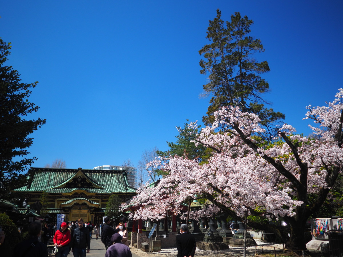 f:id:otaku4160:20200324205534j:plain f:id:otaku4160:20200324205534j:plain