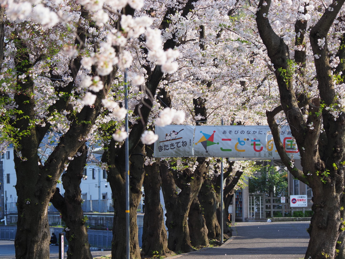 f:id:otaku4160:20200405015013j:plain