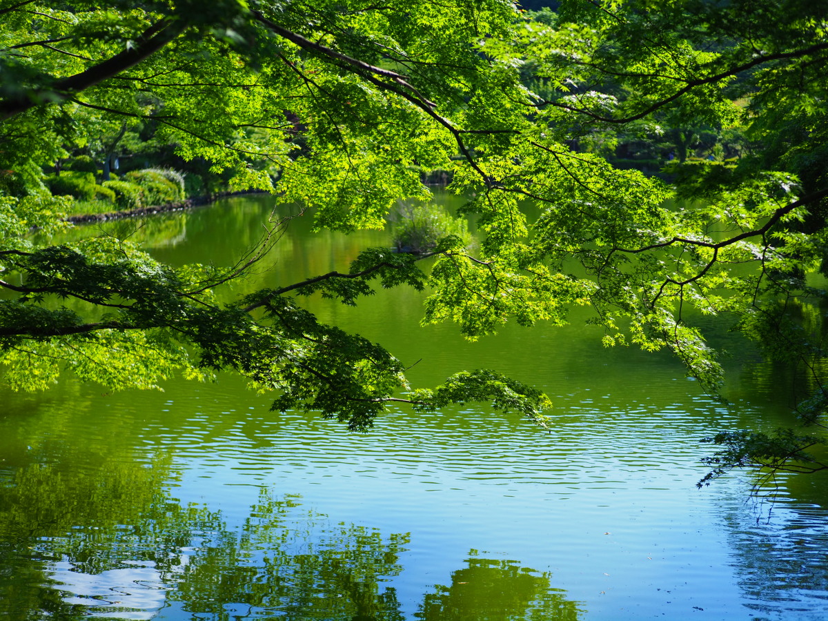 f:id:otaku4160:20200529212423j:plain f:id:otaku4160:20200529212423j:plain