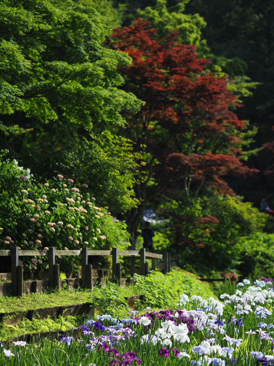 f:id:otaku4160:20200609222638j:plain f:id:otaku4160:20200609222638j:plain