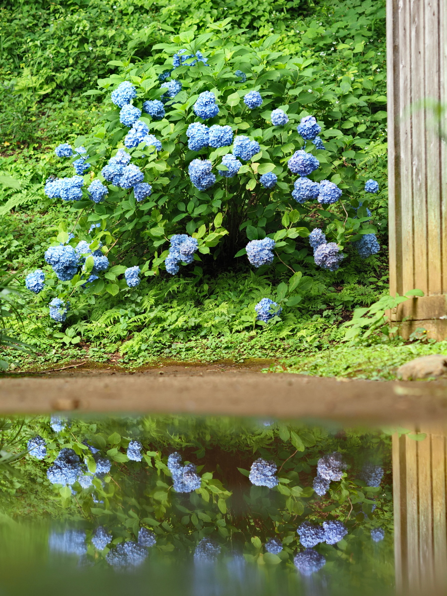 f:id:otaku4160:20200626213309j:plain f:id:otaku4160:20200626213309j:plain
