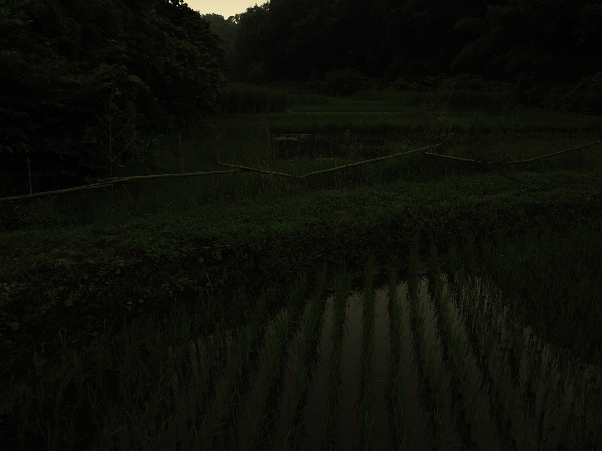 f:id:otaku4160:20200626213312j:plain f:id:otaku4160:20200626213312j:plain