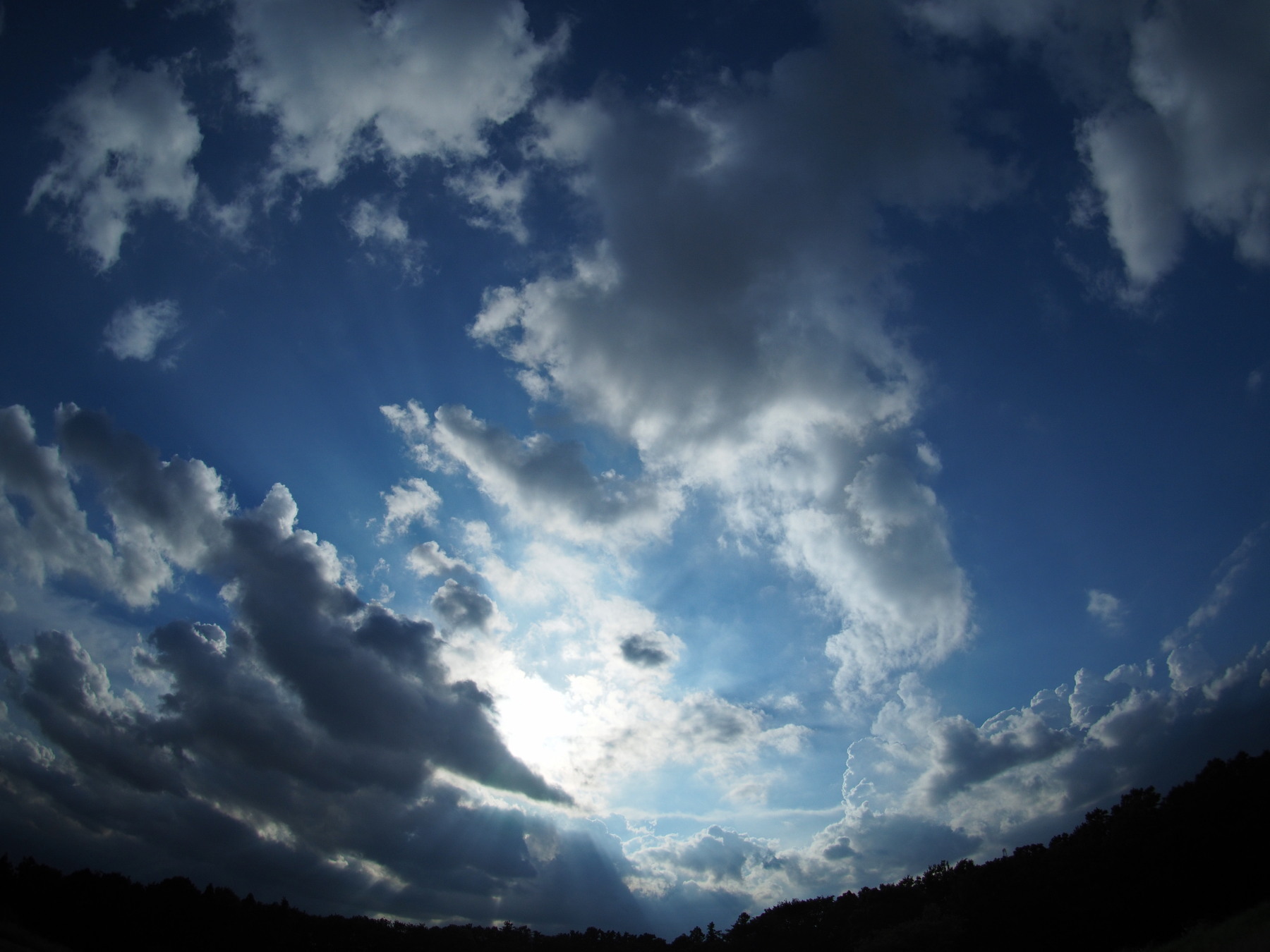 f:id:otaku4160:20200905220539j:plain f:id:otaku4160:20200905220539j:plain