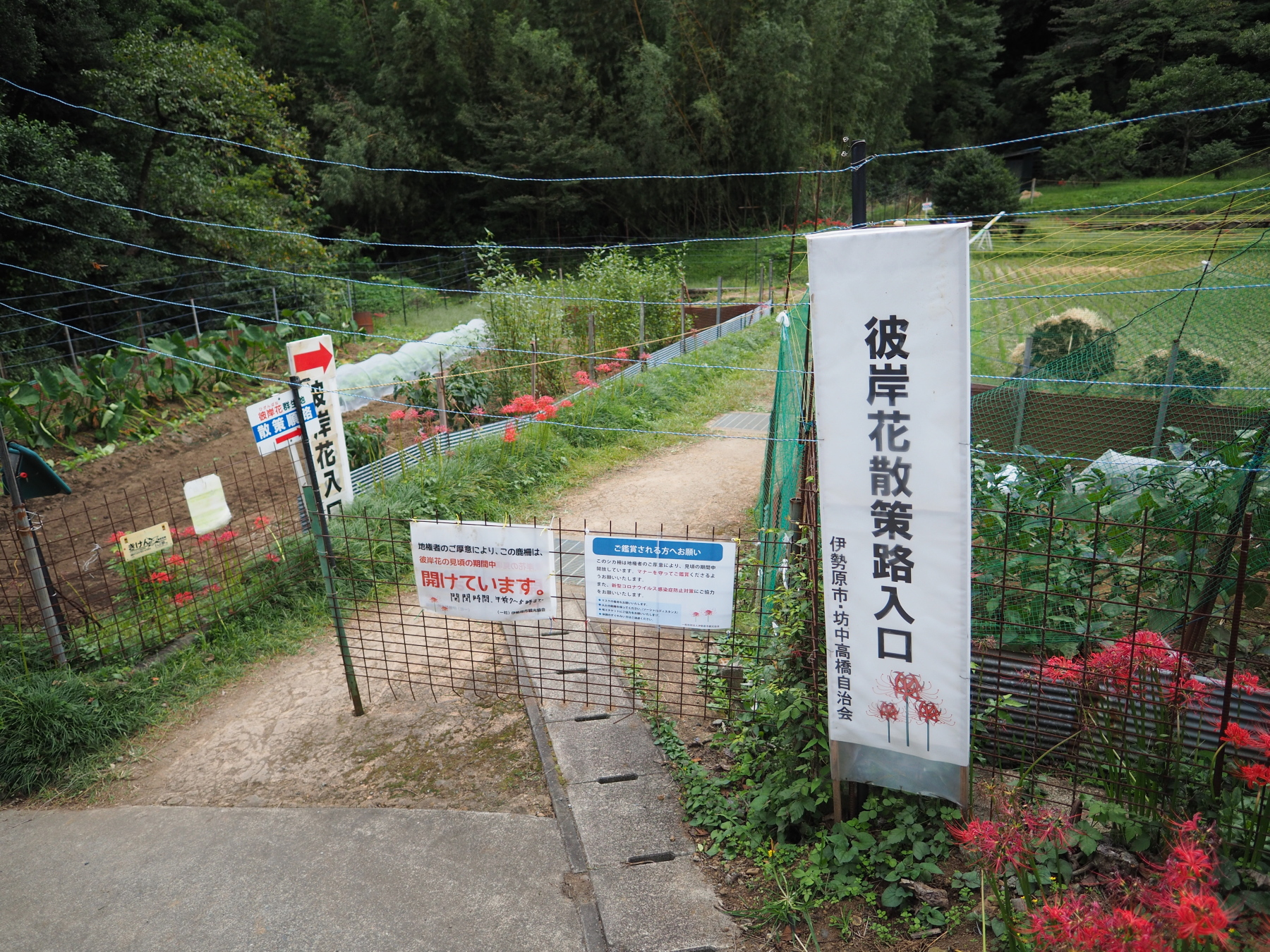 f:id:otaku4160:20201007010208j:plain f:id:otaku4160:20201007010208j:plain