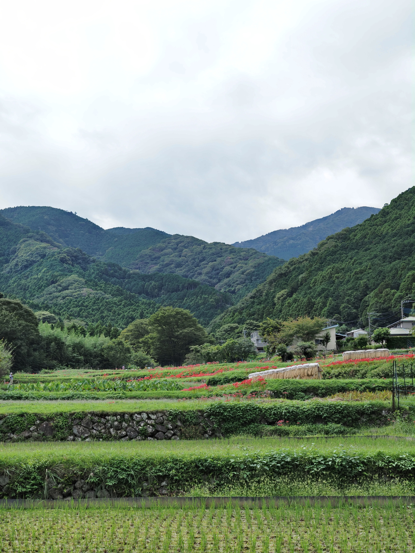 f:id:otaku4160:20201007010213j:plain f:id:otaku4160:20201007010213j:plain
