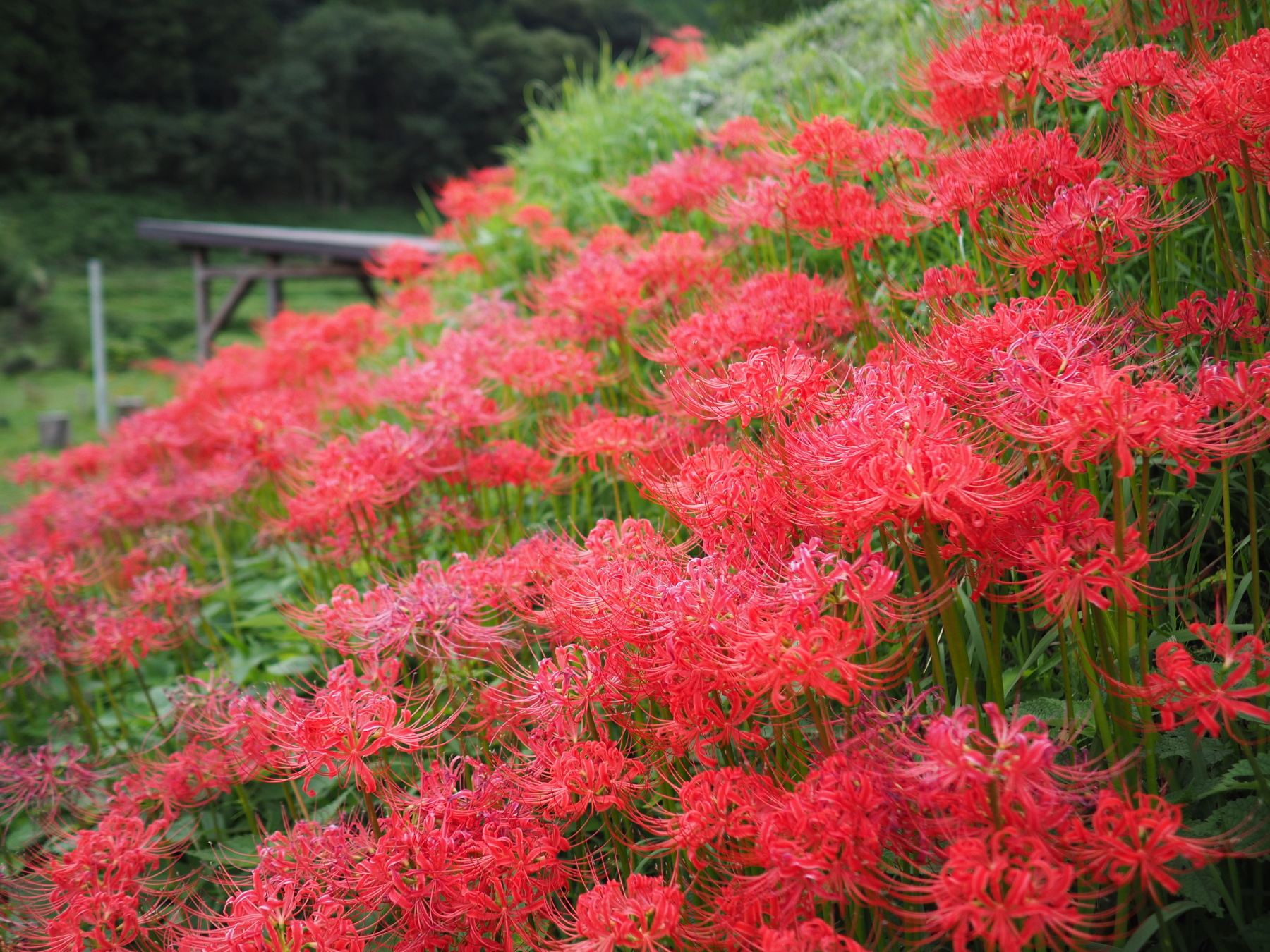 f:id:otaku4160:20201007010308j:plain f:id:otaku4160:20201007010308j:plain