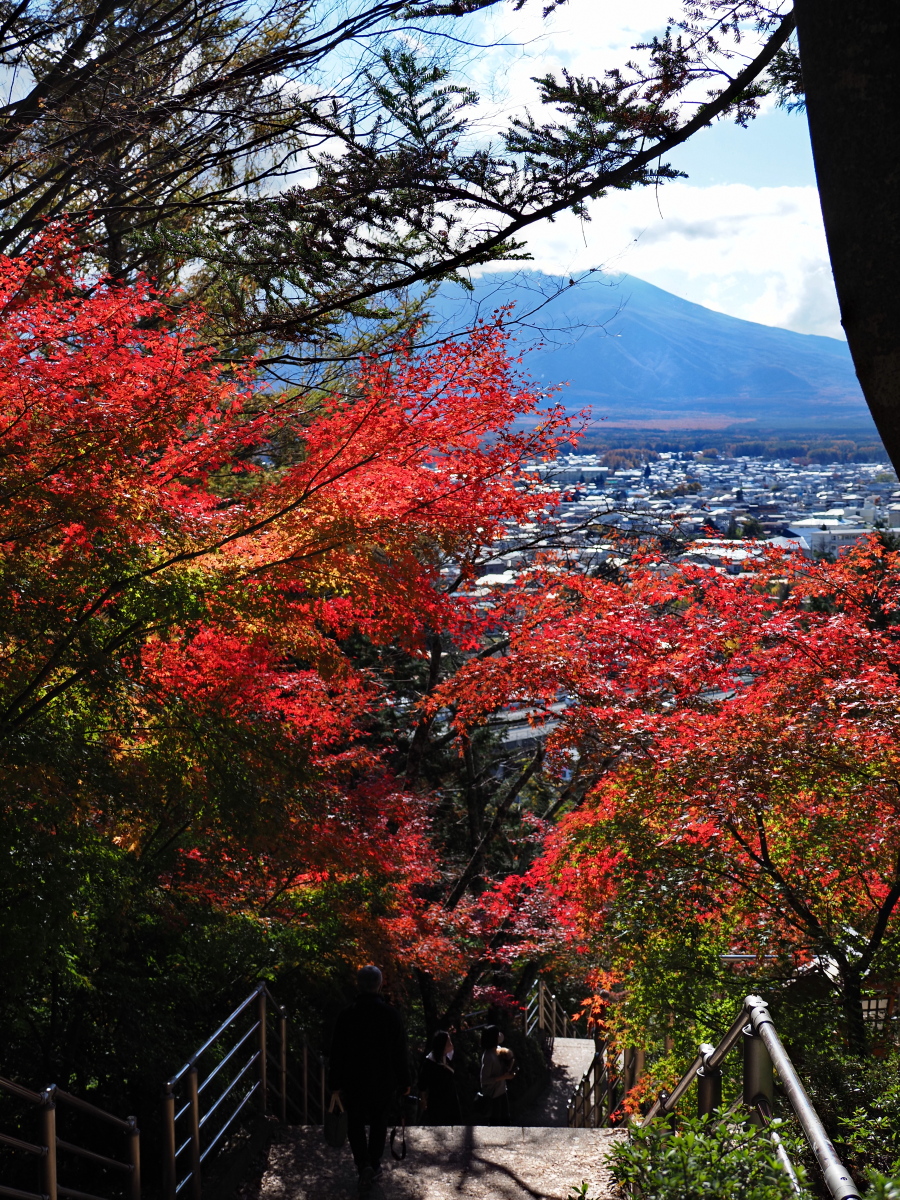 f:id:otaku4160:20201110233206j:plain f:id:otaku4160:20201110233206j:plain