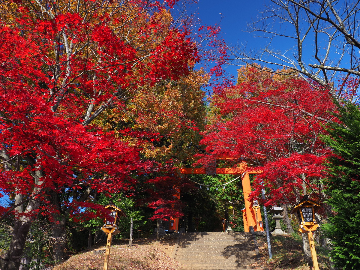 f:id:otaku4160:20201110233210j:plain f:id:otaku4160:20201110233210j:plain