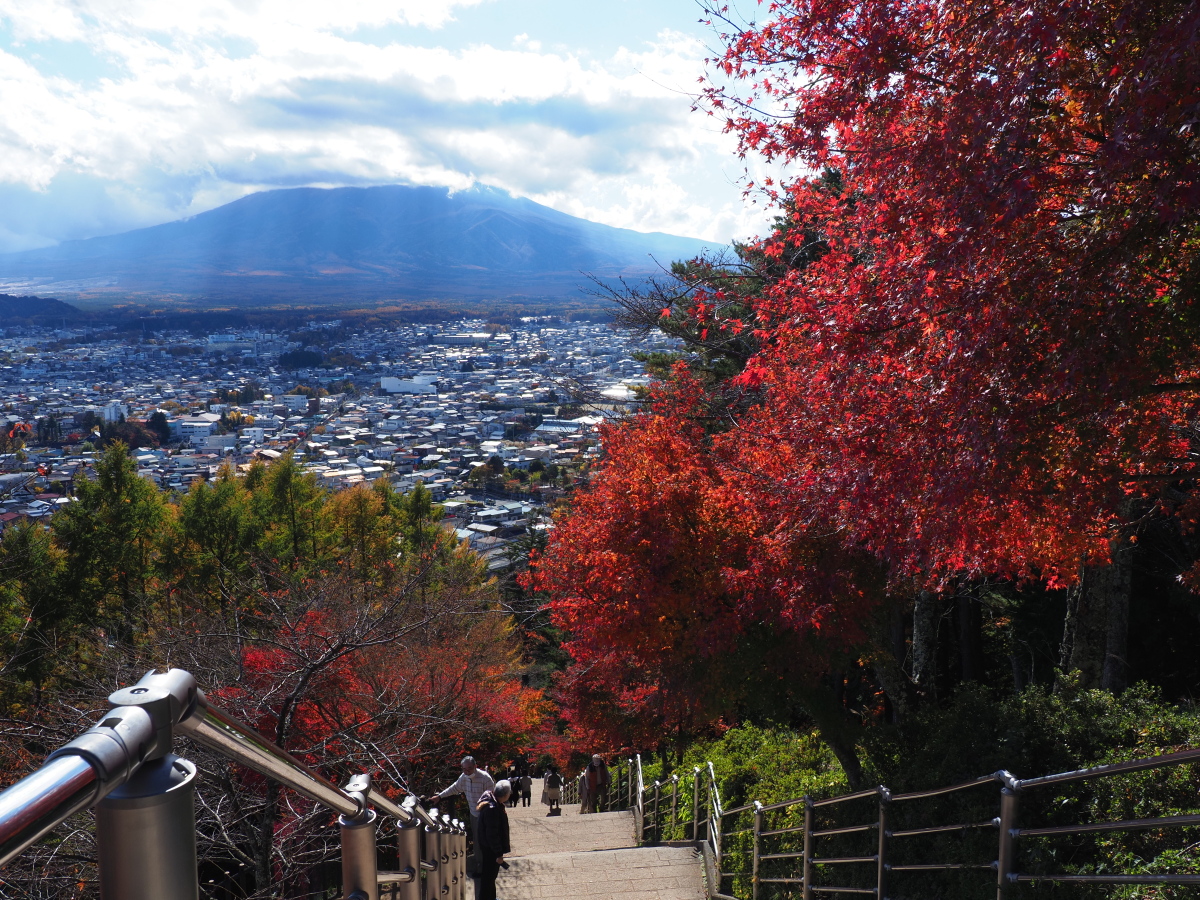 f:id:otaku4160:20201110233235j:plain f:id:otaku4160:20201110233235j:plain
