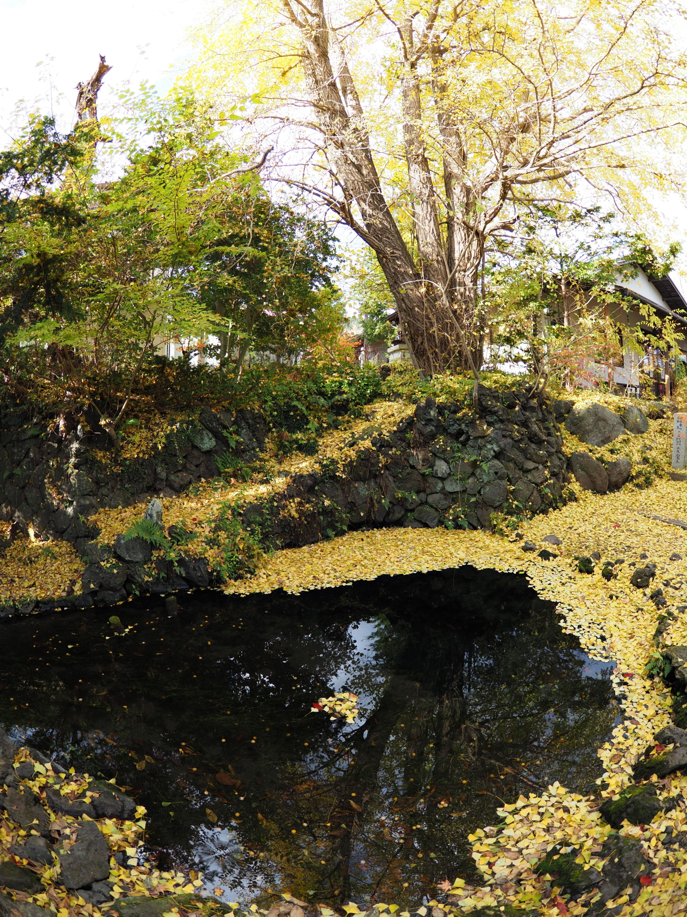 f:id:otaku4160:20201111021104j:plain f:id:otaku4160:20201111021104j:plain