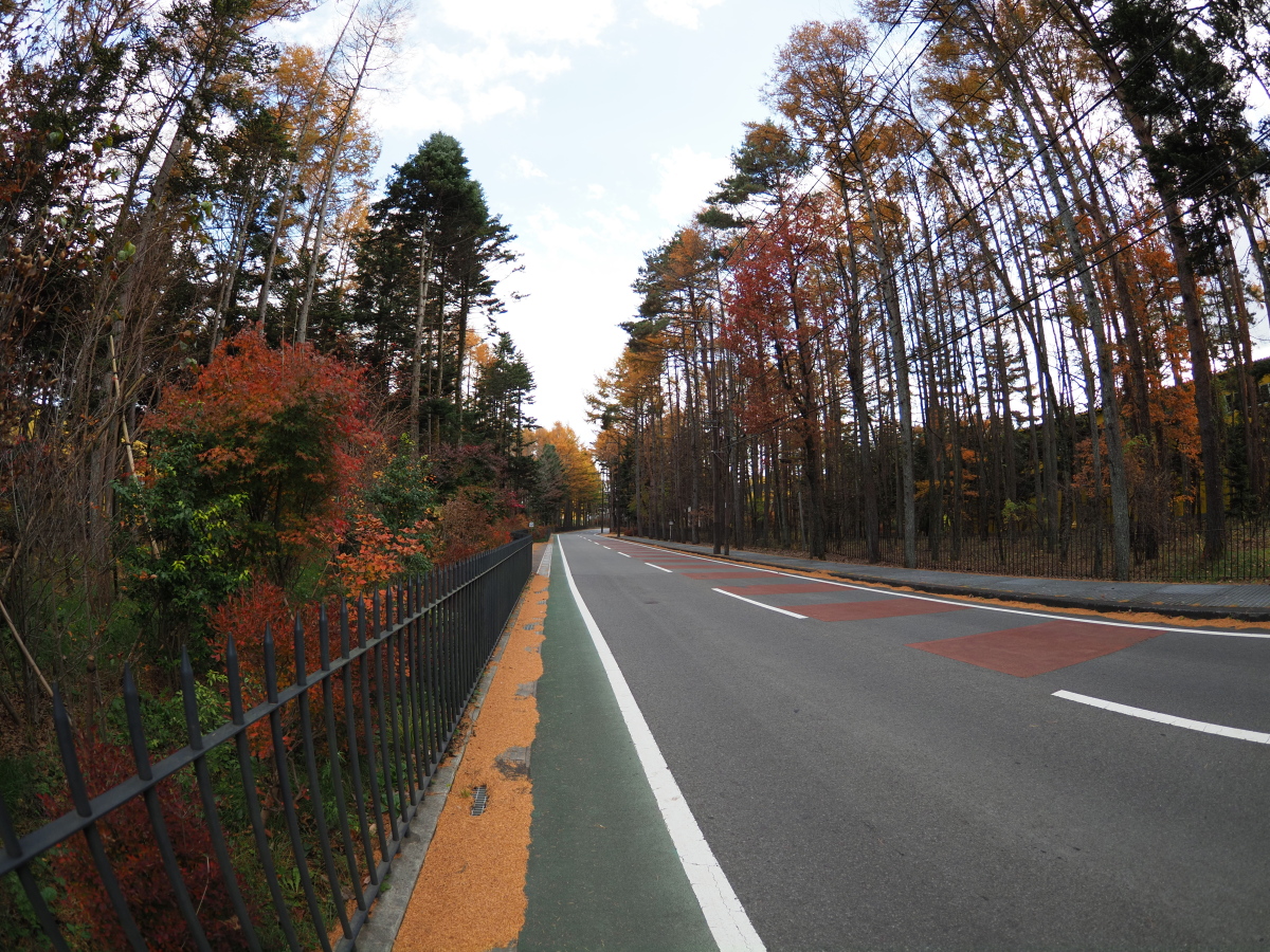 f:id:otaku4160:20201111021125j:plain f:id:otaku4160:20201111021125j:plain
