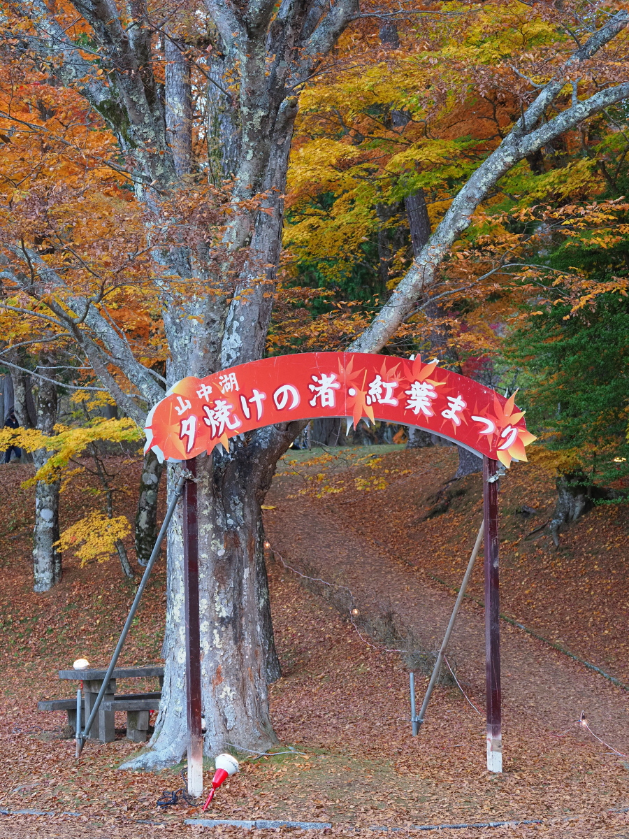 f:id:otaku4160:20201111021147j:plain f:id:otaku4160:20201111021147j:plain