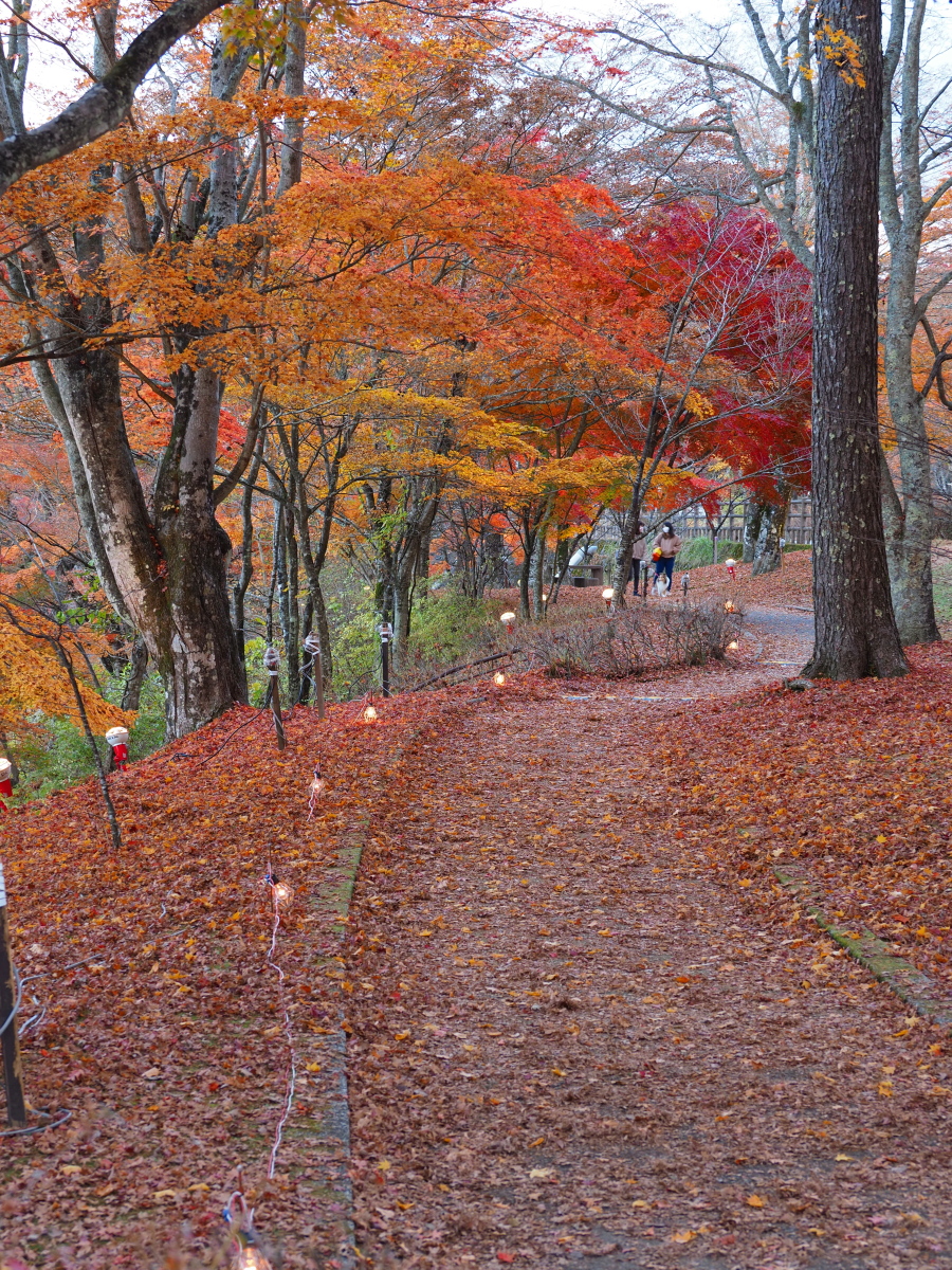 f:id:otaku4160:20201111021152j:plain f:id:otaku4160:20201111021152j:plain