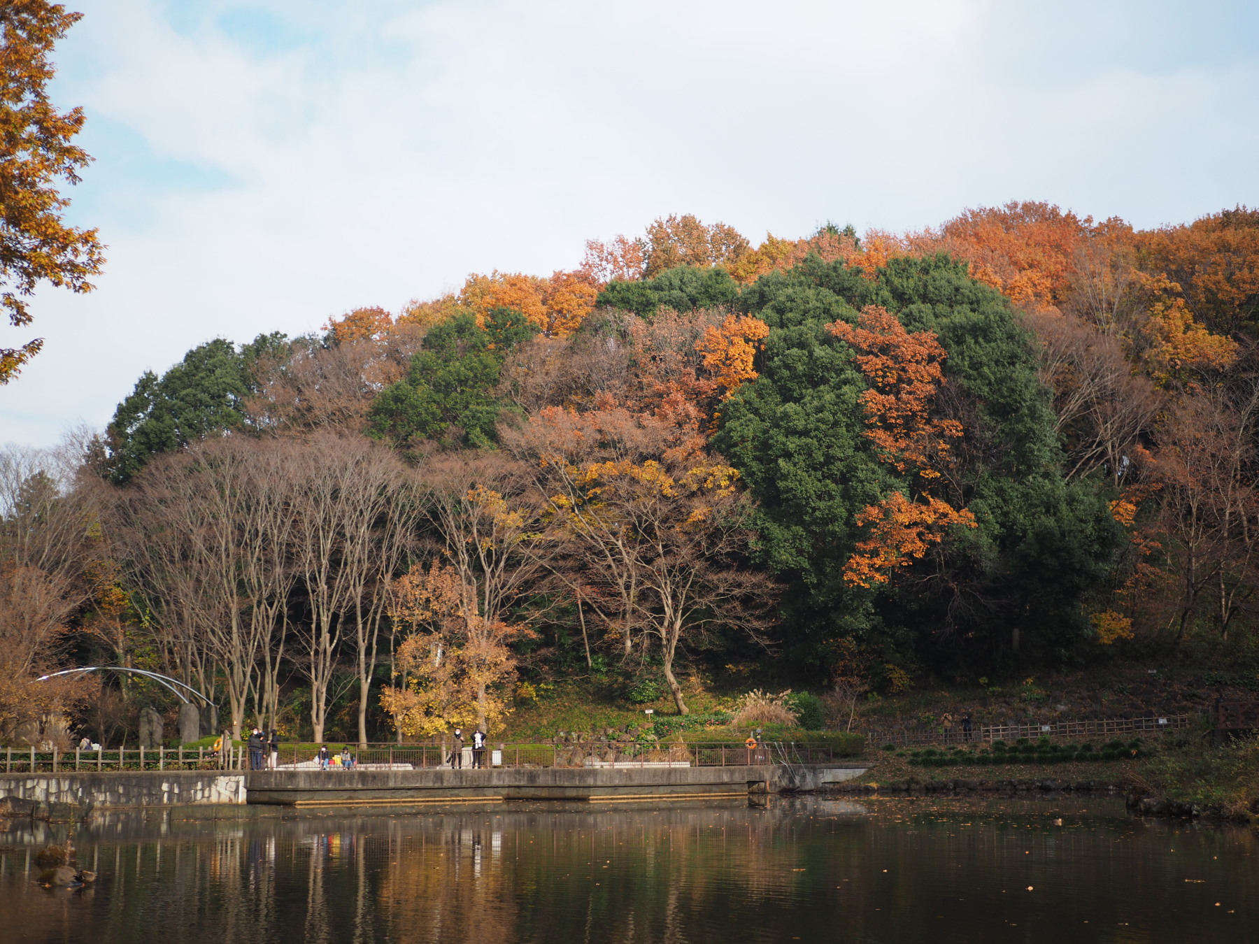 f:id:otaku4160:20201212134529j:plain