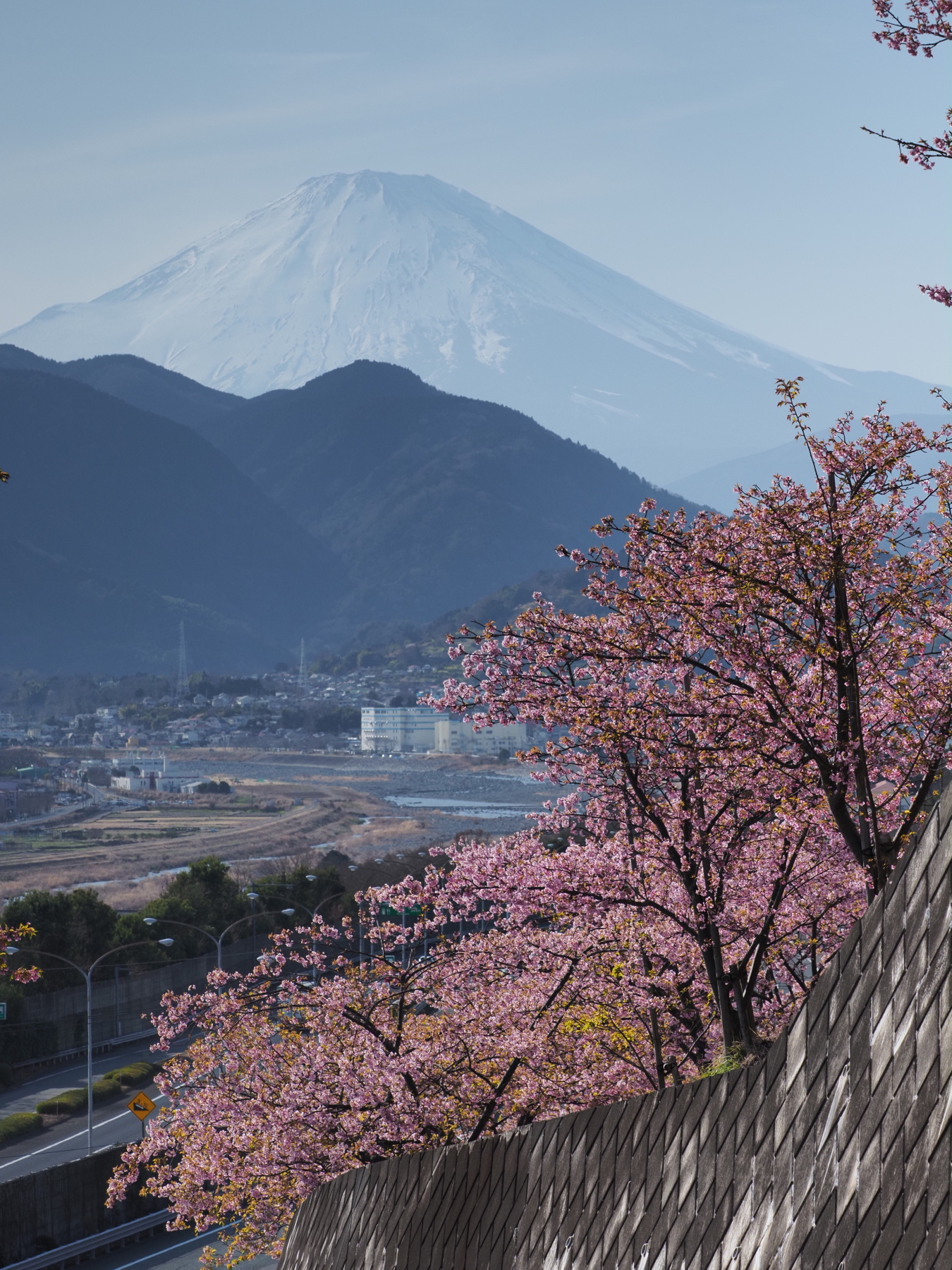 f:id:otaku4160:20210227145106j:plain