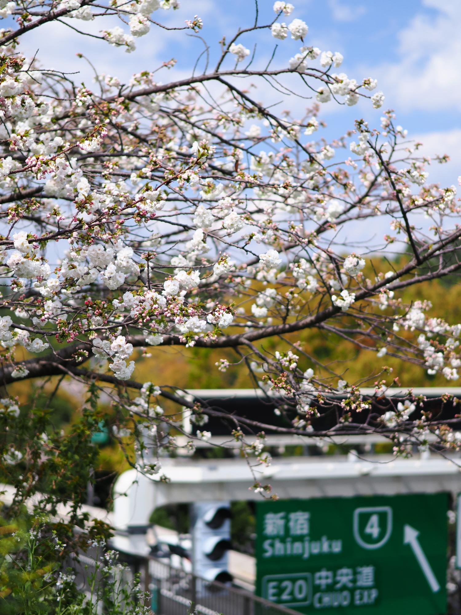 f:id:otaku4160:20220401130602j:plain