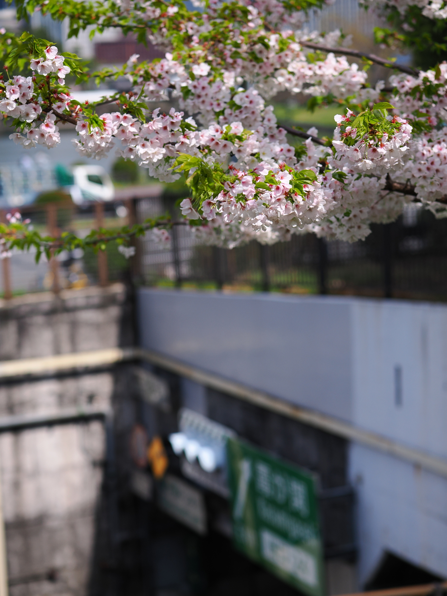 f:id:otaku4160:20220401131620j:plain