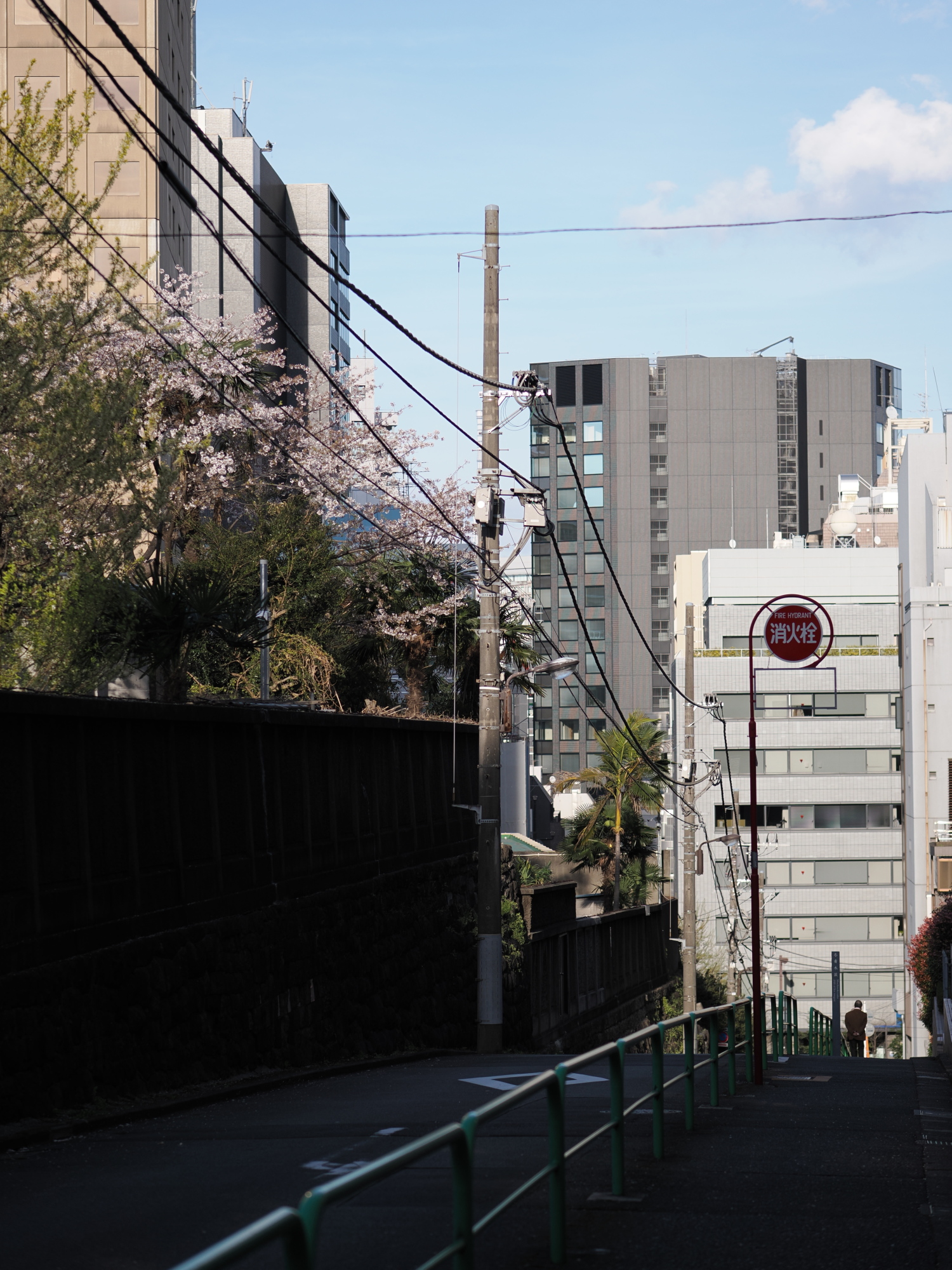 f:id:otaku4160:20220401163657j:plain