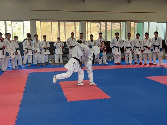 f:id:otani-karate:20250605194442j:image