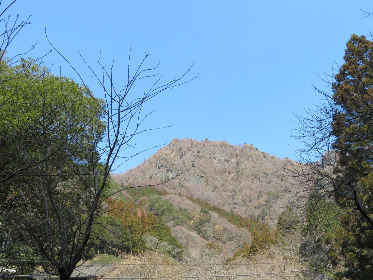 f:id:otaopi:20190315110853j:plain