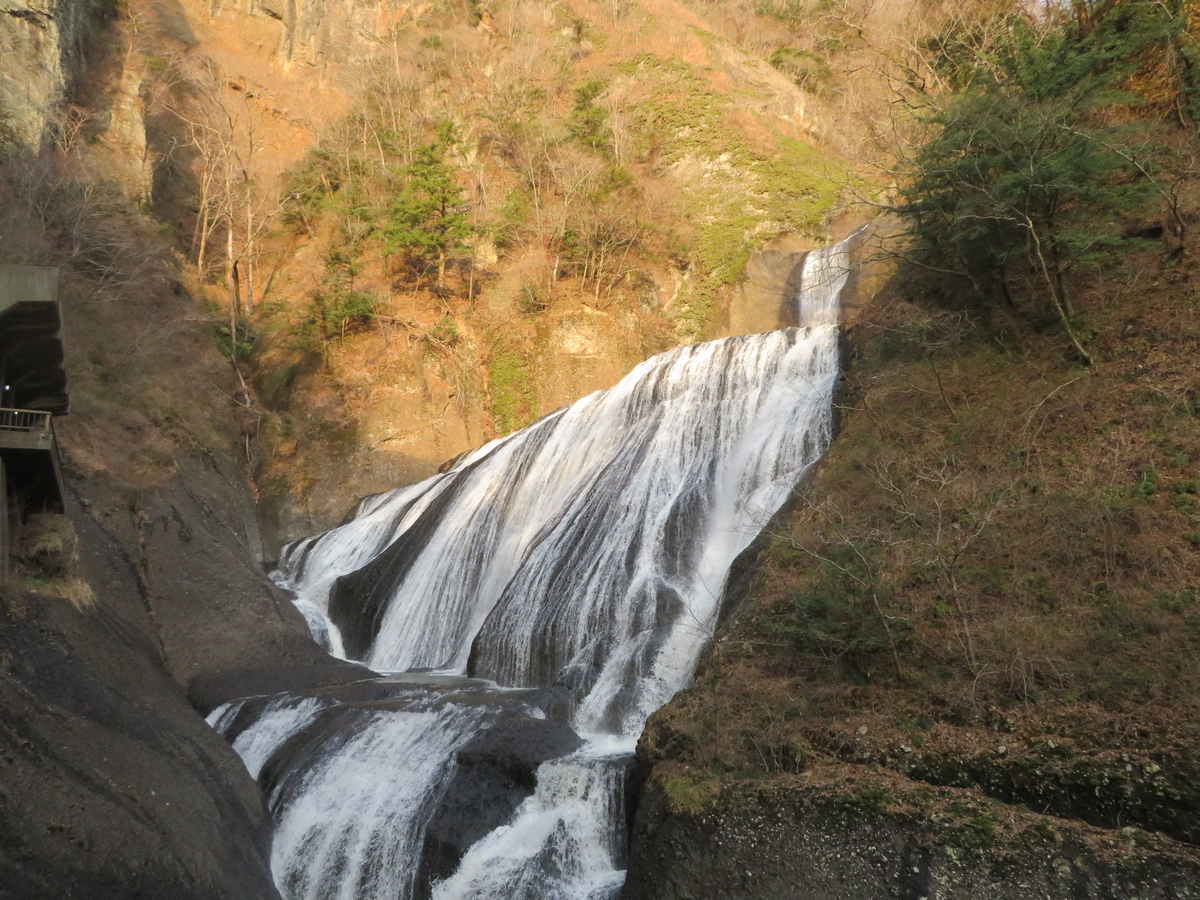 f:id:otaopi:20190315113045j:plain
