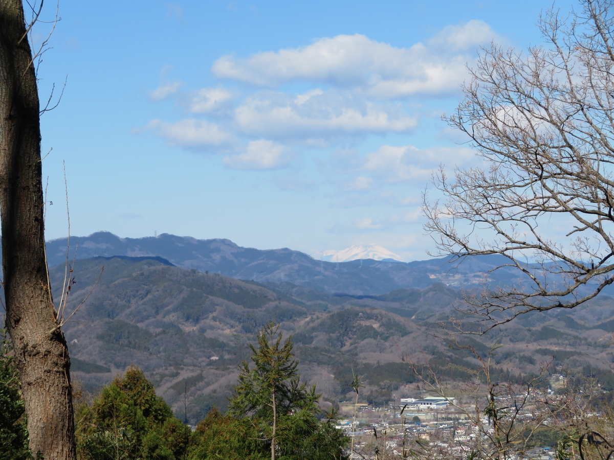 f:id:otaopi:20190327174623j:plain