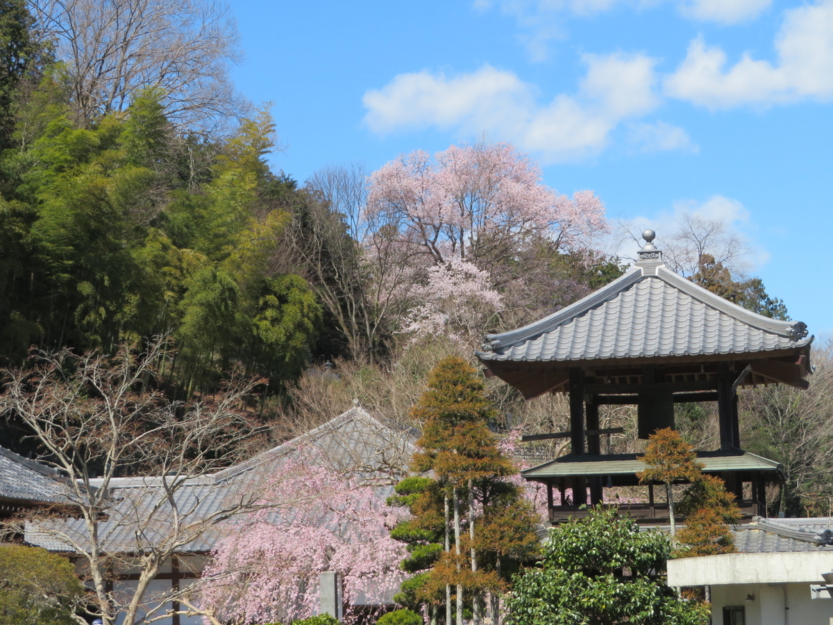 f:id:otaopi:20190327175148j:plain