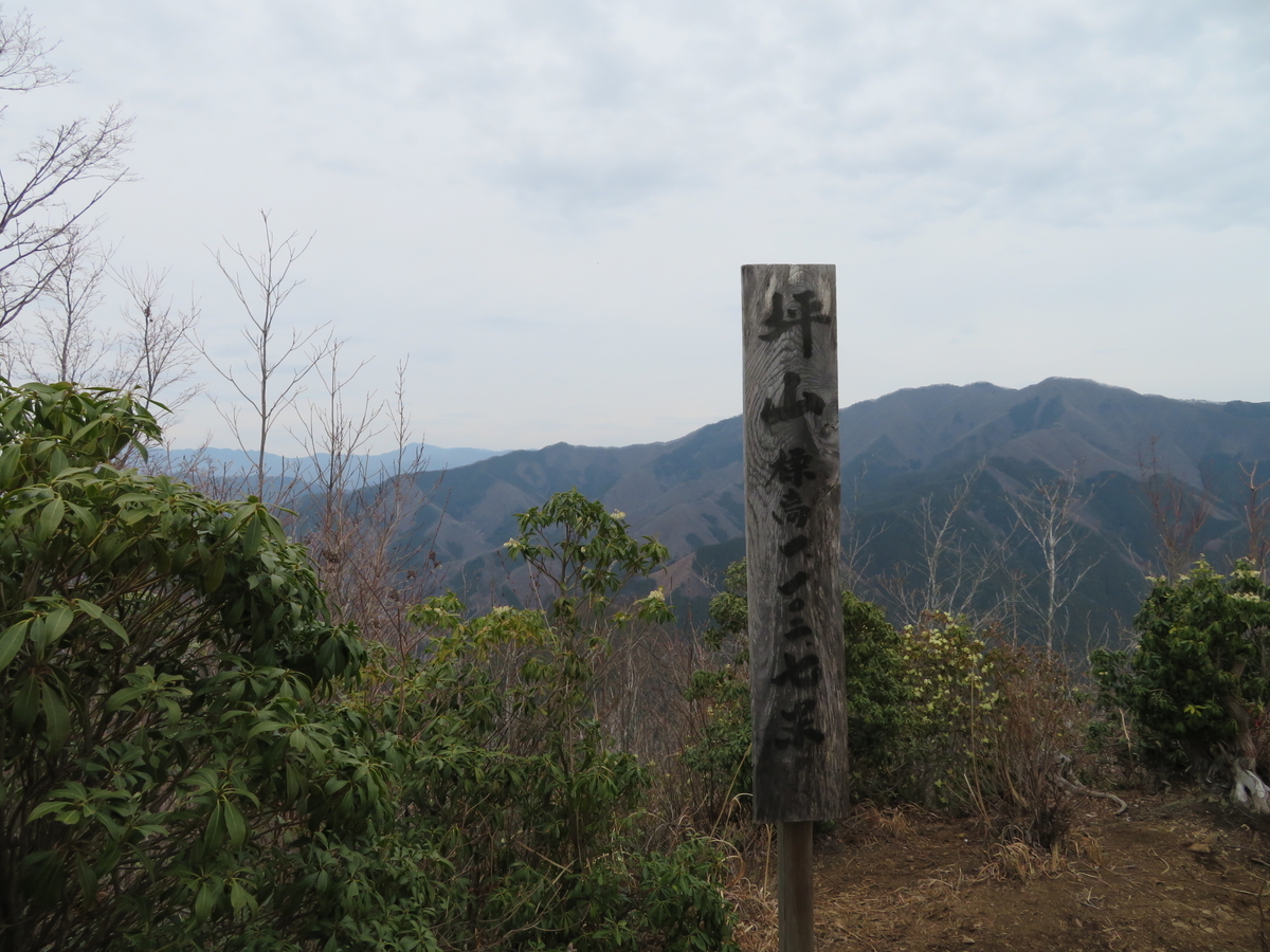 f:id:otaopi:20190420212957j:plain