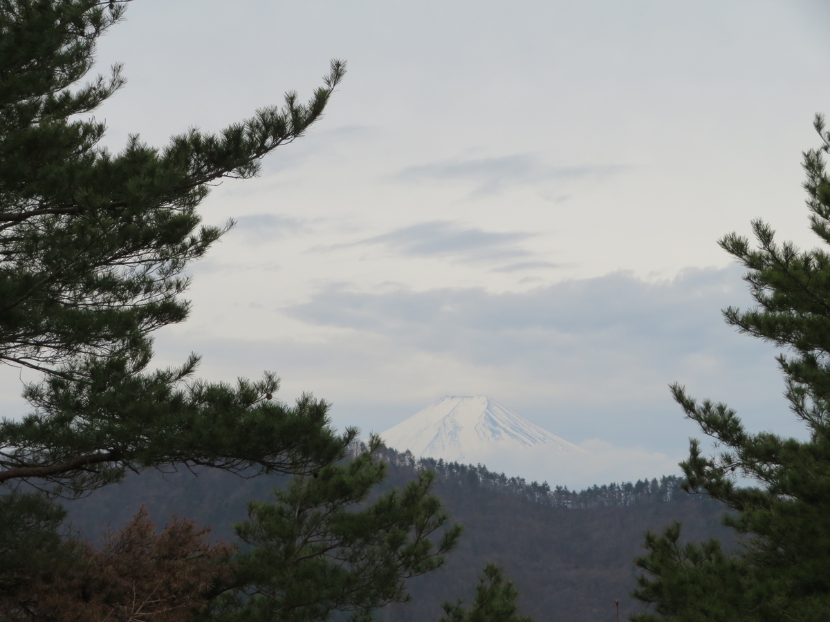 f:id:otaopi:20190420213132j:plain