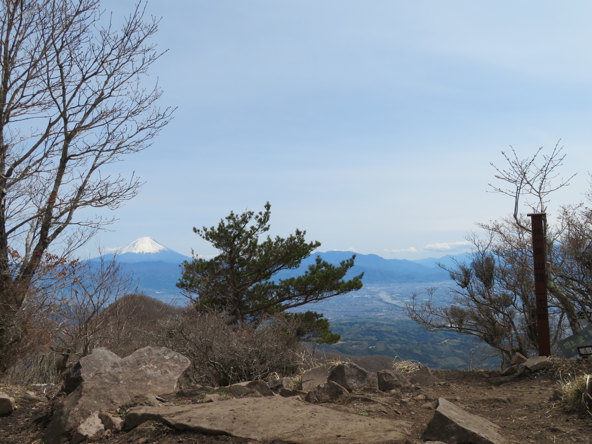 f:id:otaopi:20190429212101j:plain