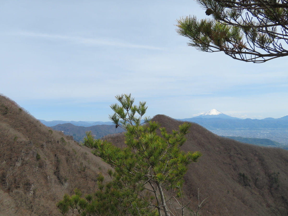 f:id:otaopi:20190429212342j:plain