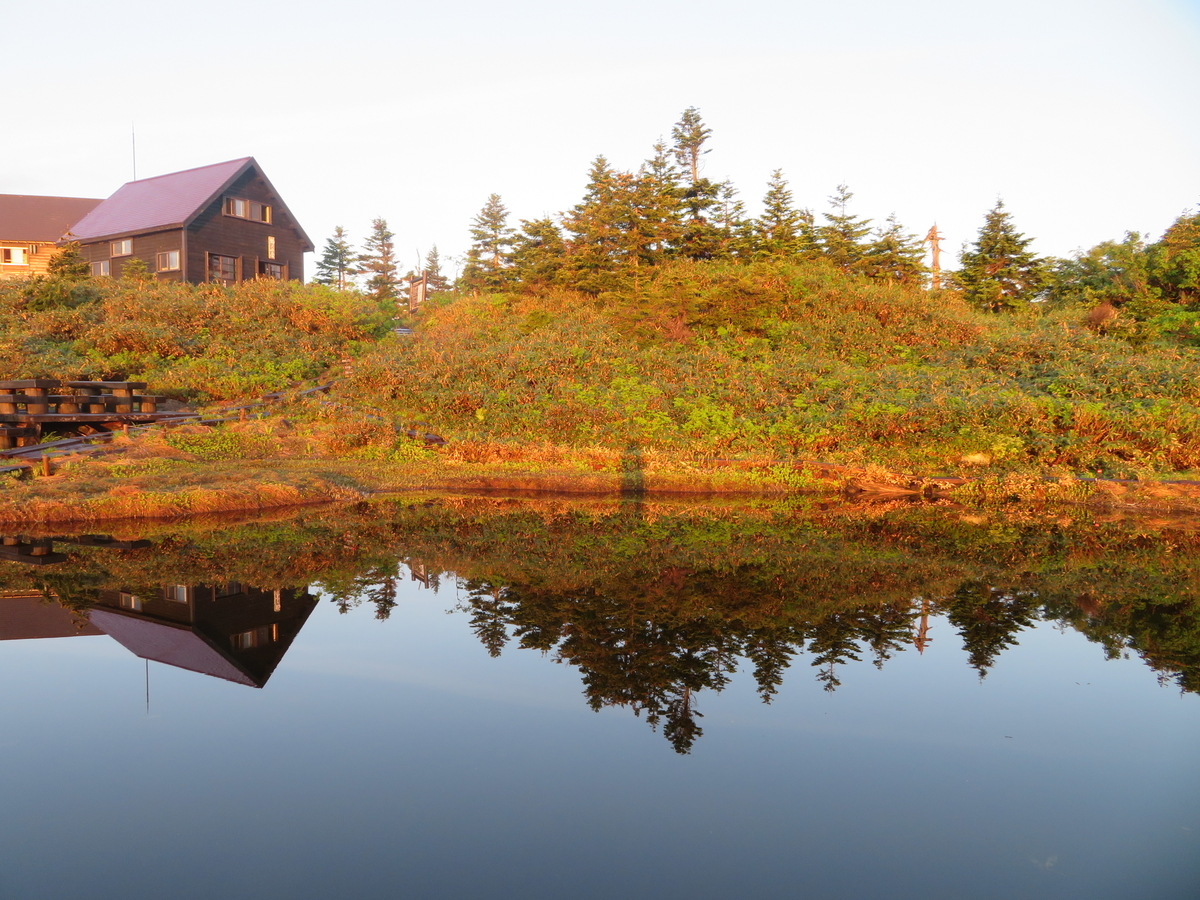 f:id:otaopi:20190727094212j:plain