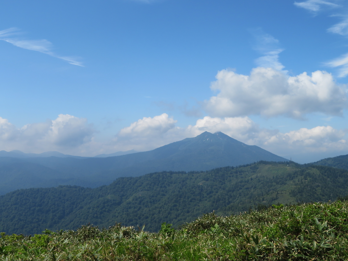 f:id:otaopi:20190727100212j:plain