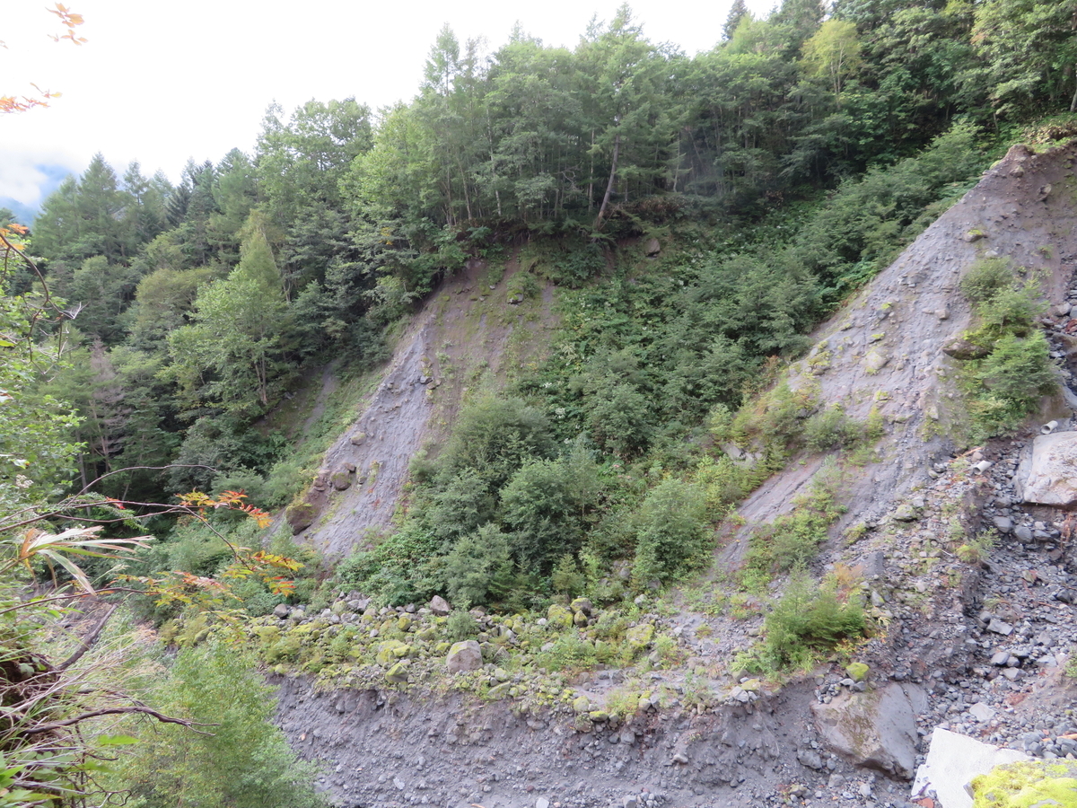 f:id:otaopi:20190922135536j:plain