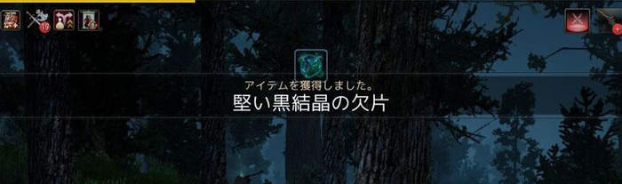 黒い砂漠 採集で尖ったと堅い黒結晶を狙いつつ丸太を集める エントの森 黒い砂漠の初心者メモ的ブログ