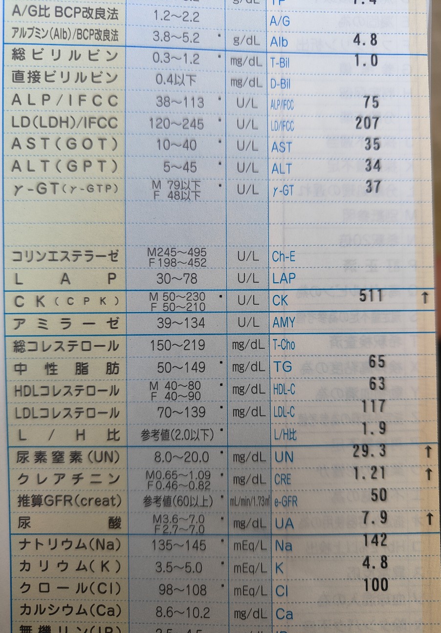 f:id:otarunopapa:20260721094832j:image