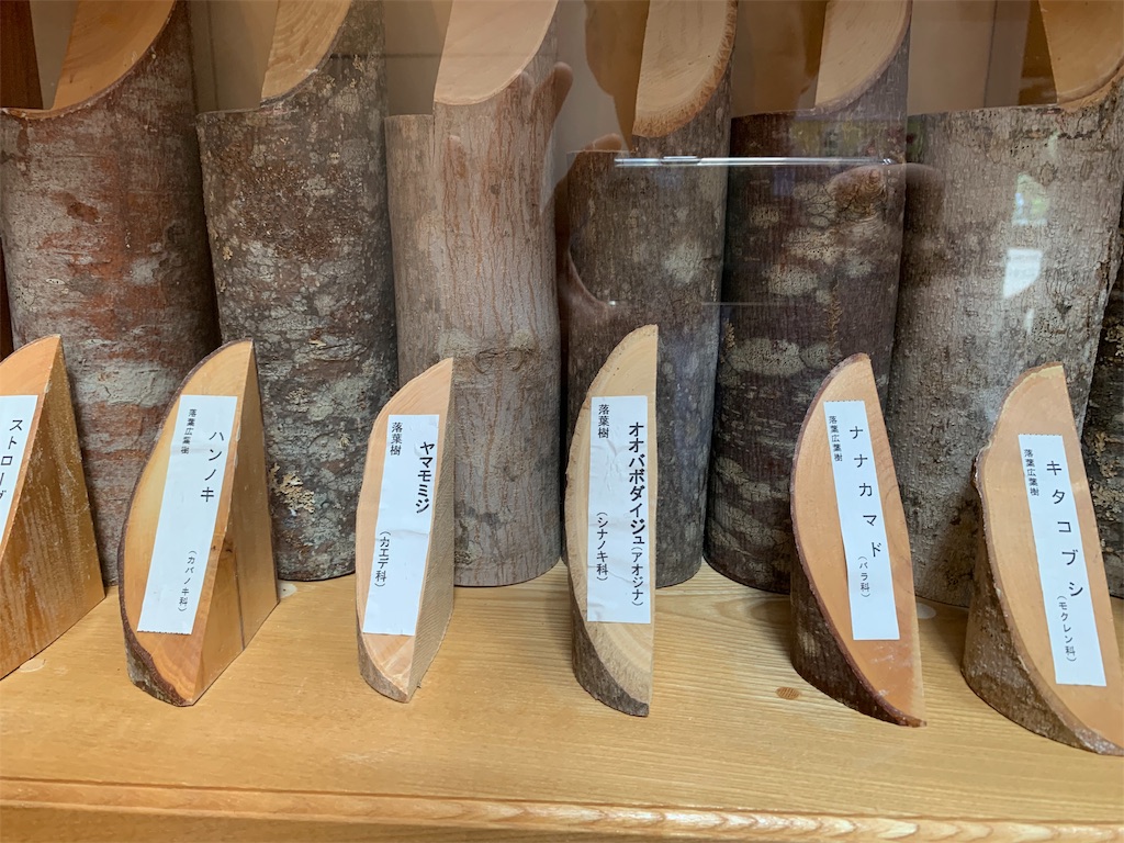 f:id:otasoooooon:20190609195710j:image f:id:otasoooooon:20190609195710j:image
