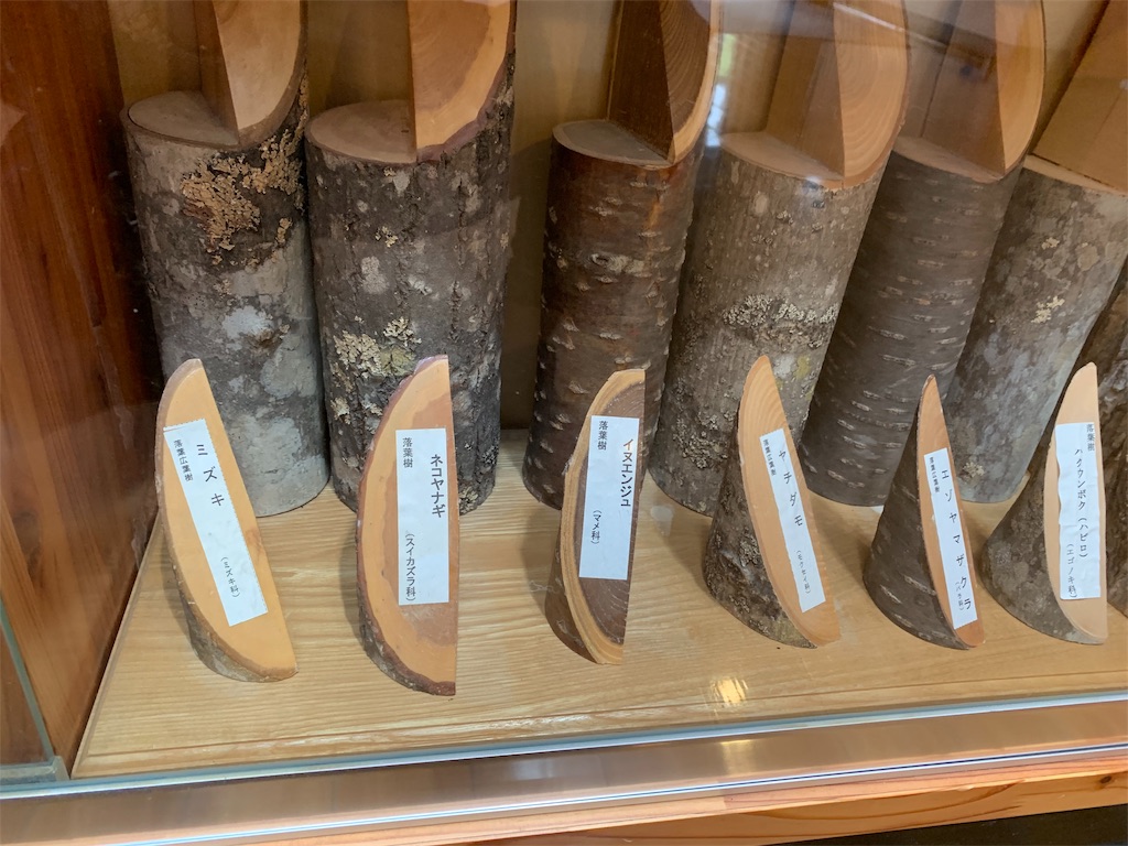 f:id:otasoooooon:20190609195744j:image f:id:otasoooooon:20190609195744j:image