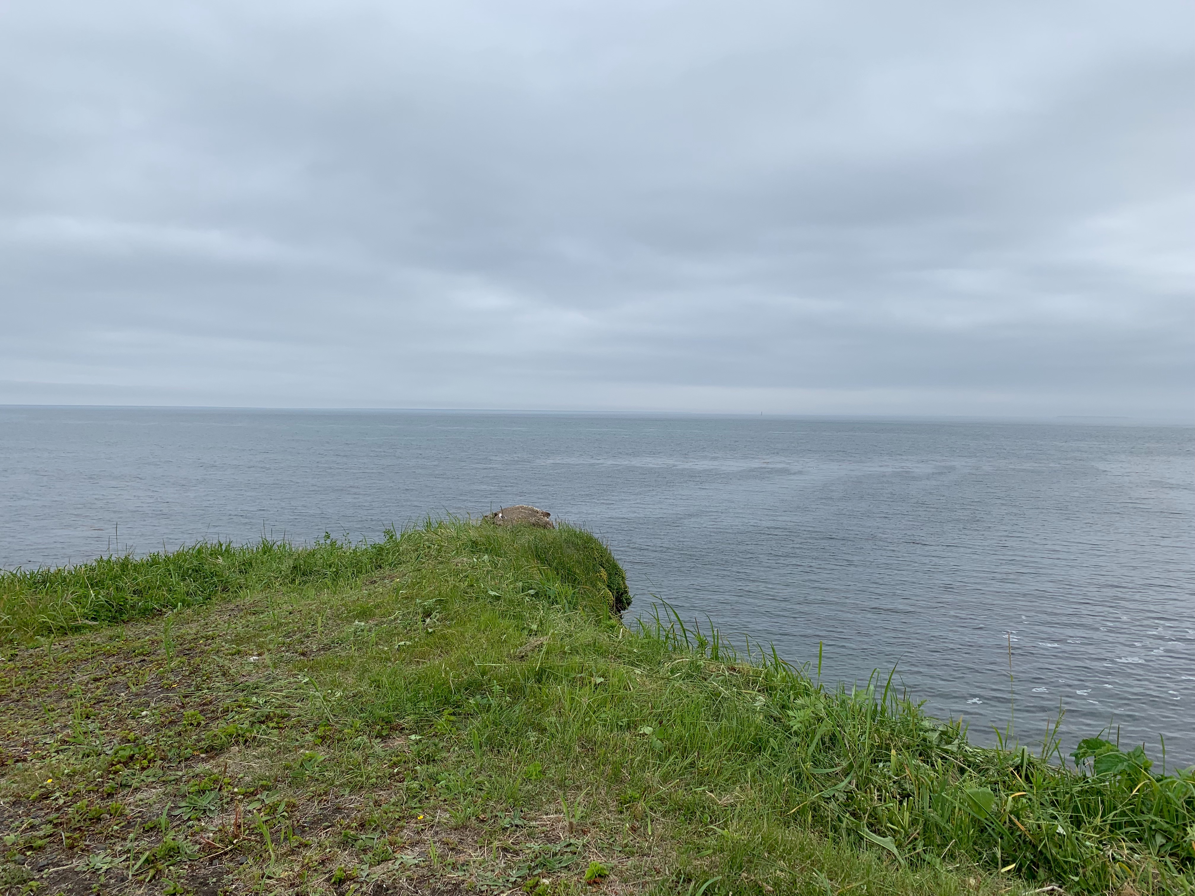 f:id:otasoooooon:20190623173525j:image f:id:otasoooooon:20190623173525j:image