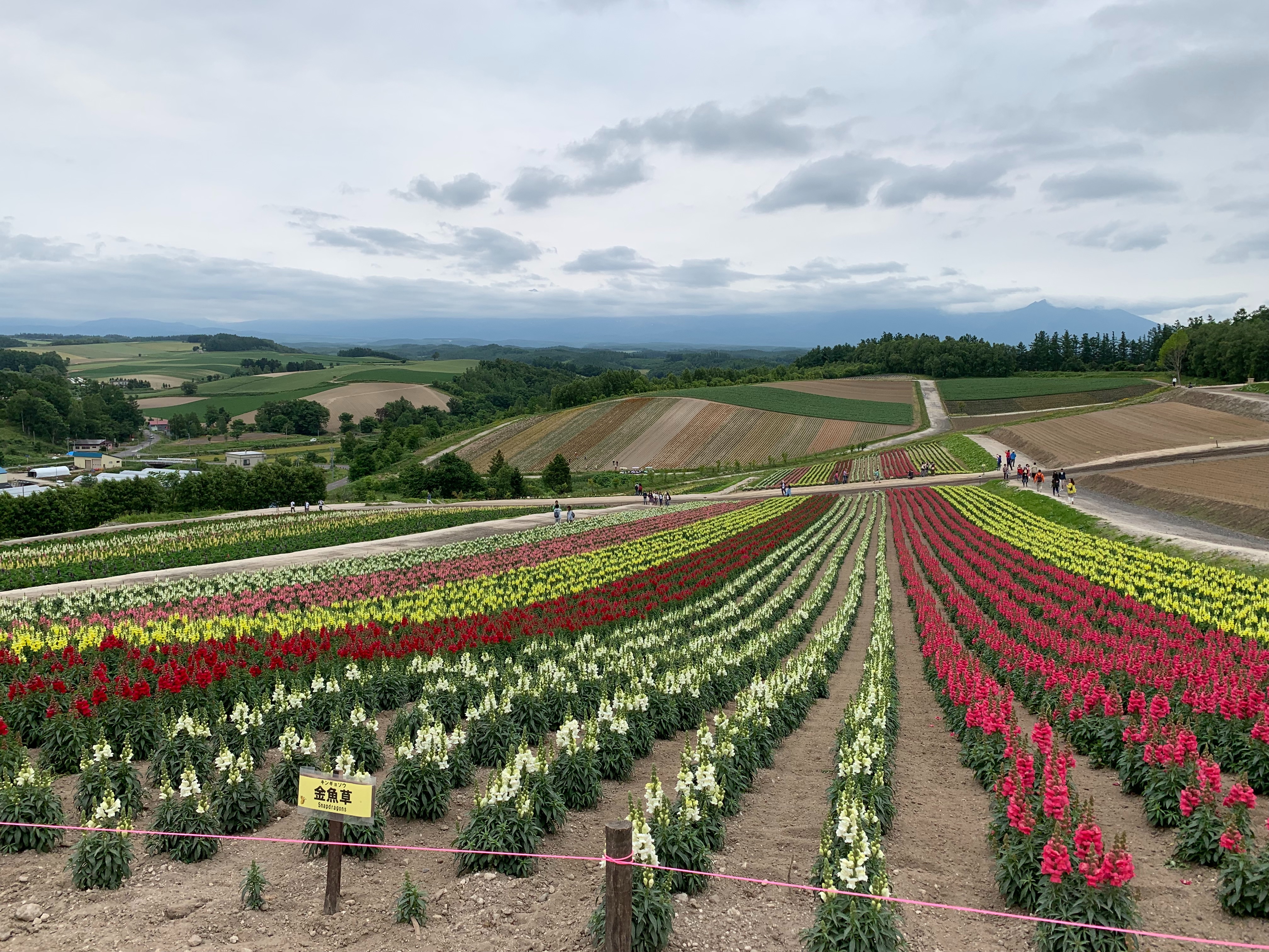 f:id:otasoooooon:20190629143156j:image f:id:otasoooooon:20190629143156j:image
