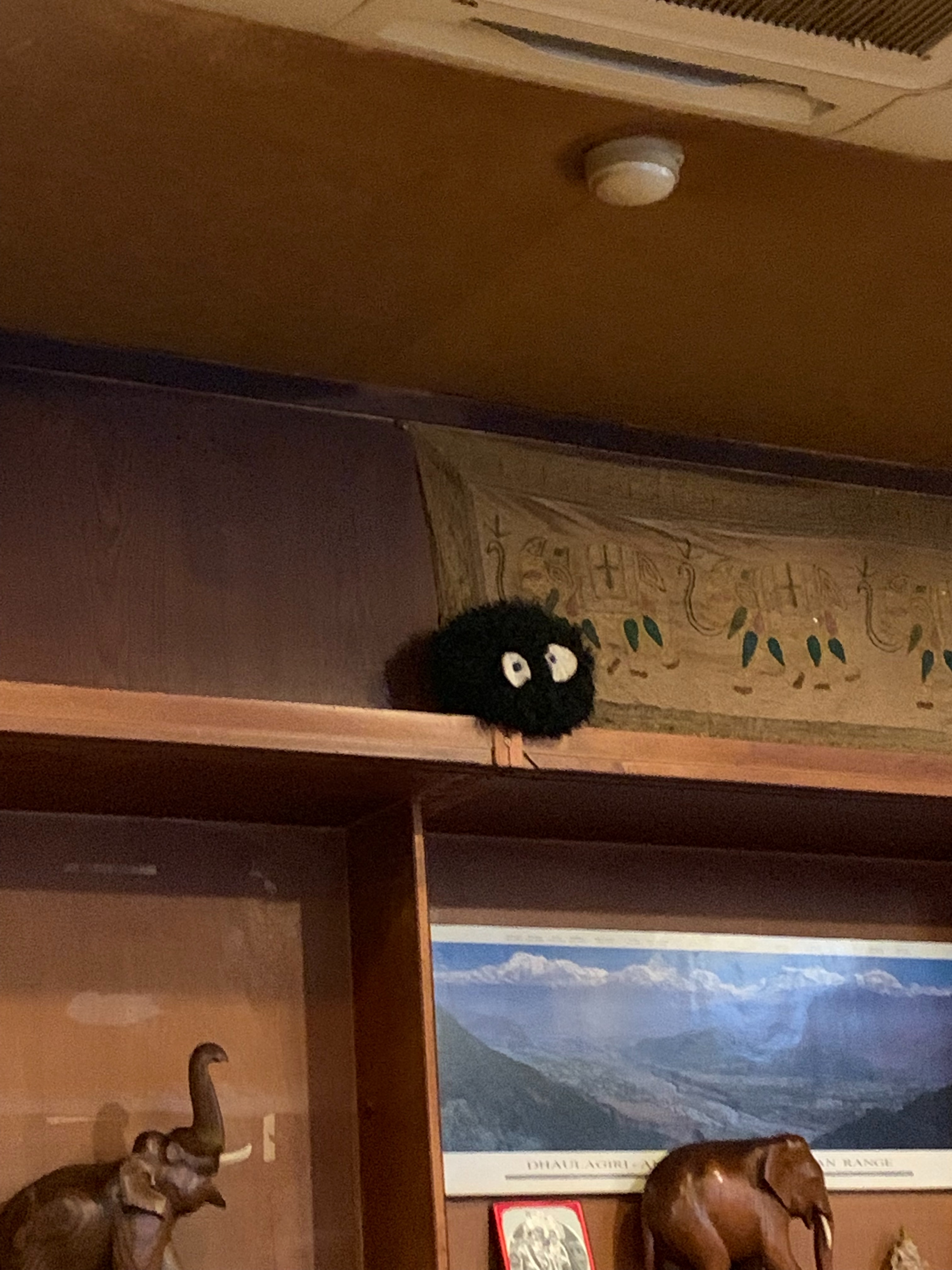 f:id:otasoooooon:20190711220703j:image f:id:otasoooooon:20190711220703j:image