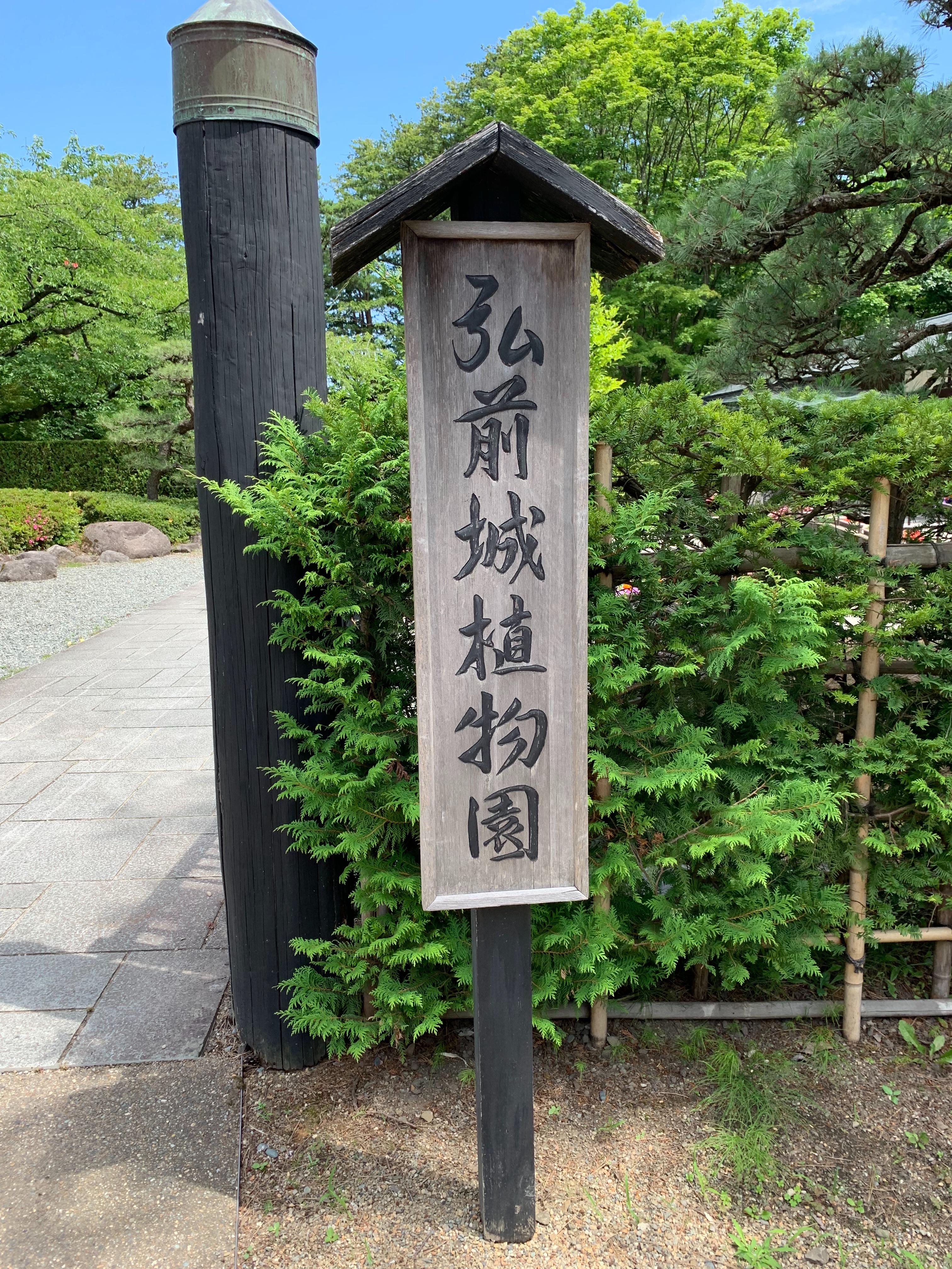 f:id:otasoooooon:20190721210803j:image f:id:otasoooooon:20190721210803j:image